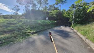 Lote con sombra tarde