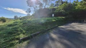 Lote con sombra en la tarde en el carmen de apicala